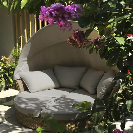 Luxury Jasmin